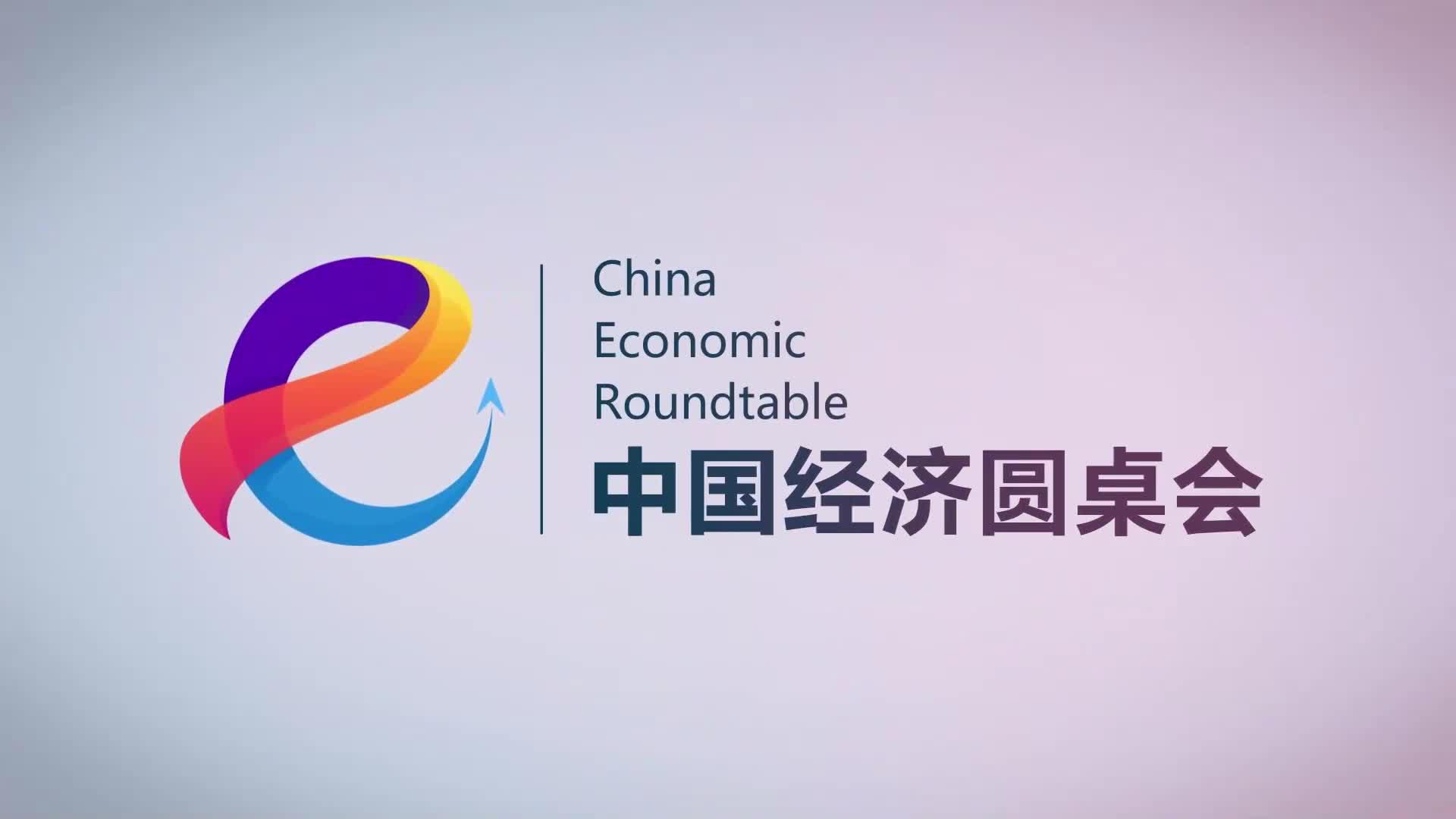 “中國經濟圓桌會”共話民營經濟促進法出臺