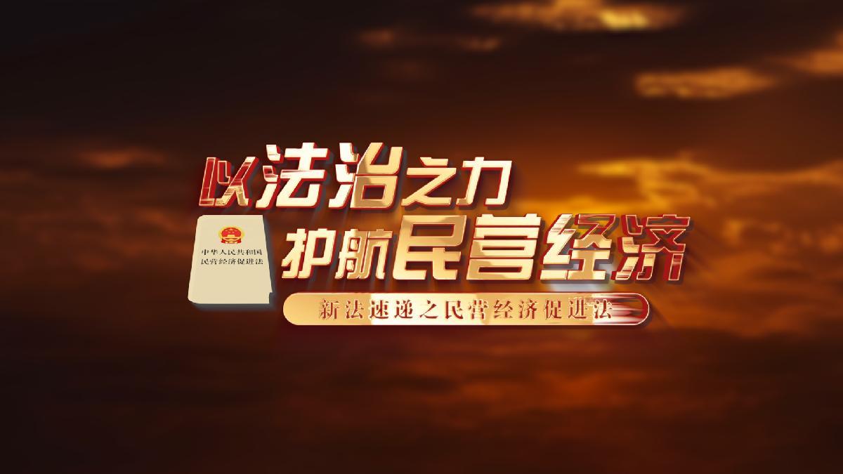 以法治之力護航民營經濟